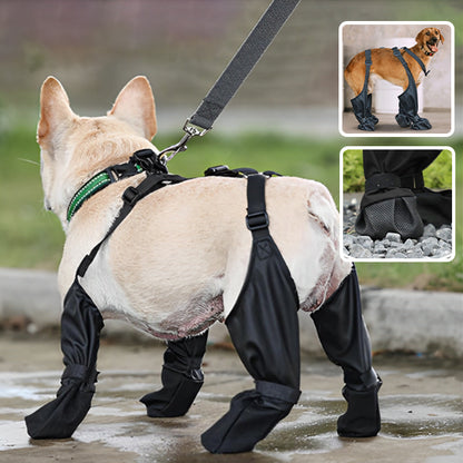 Bottes pour chien Fix-bretelles