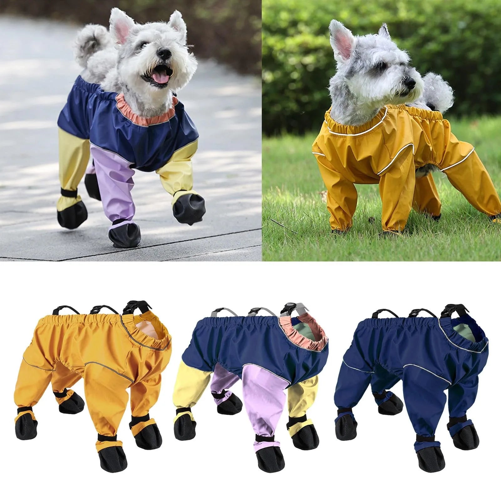 bottes pour chien -salopette