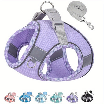 Harnais chien- Adventures Parfaites