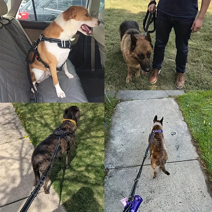 Laisse de chien- Bungee anti traction