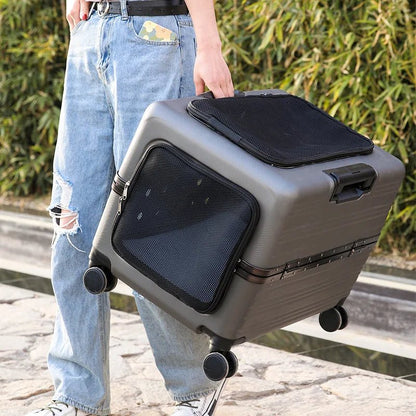 Cage pour chien - NIOPEPPA Suitcase Transparent - Le Chihuahua Voyageur