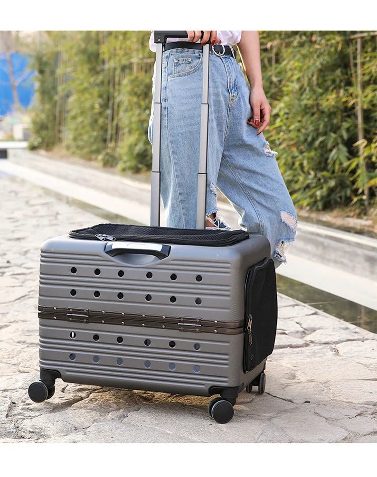Cage pour chien - NIOPEPPA Suitcase Transparent - Le Chihuahua Voyageur