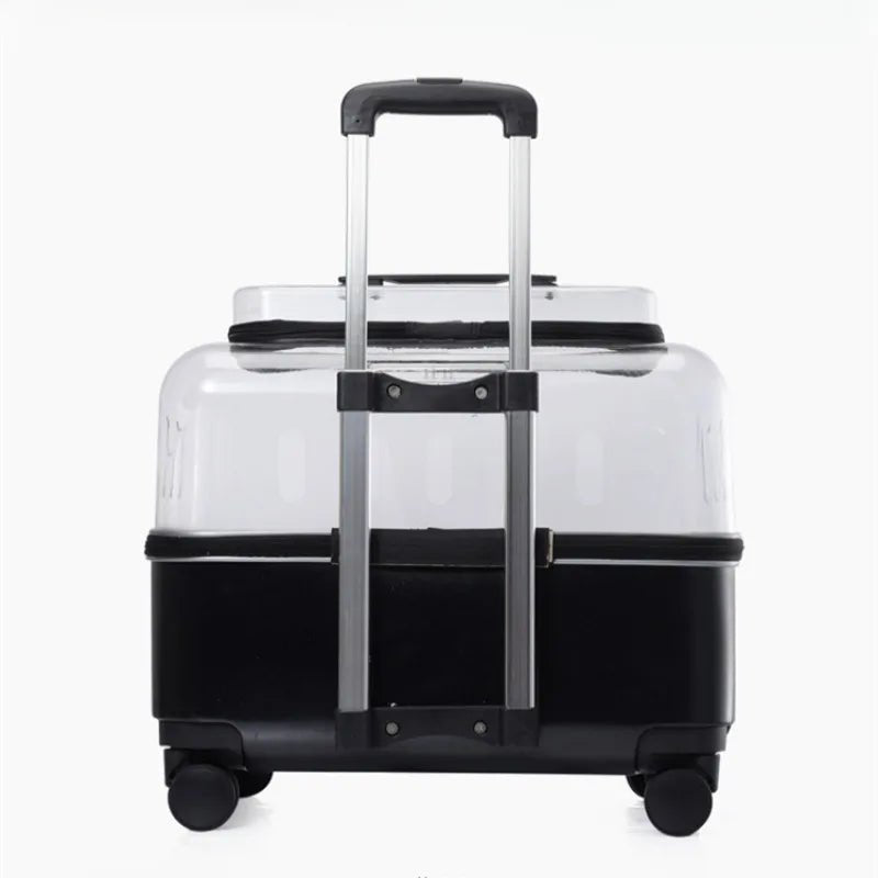 Cage pour chien - Portable Transparent plus - Le Chihuahua Voyageur