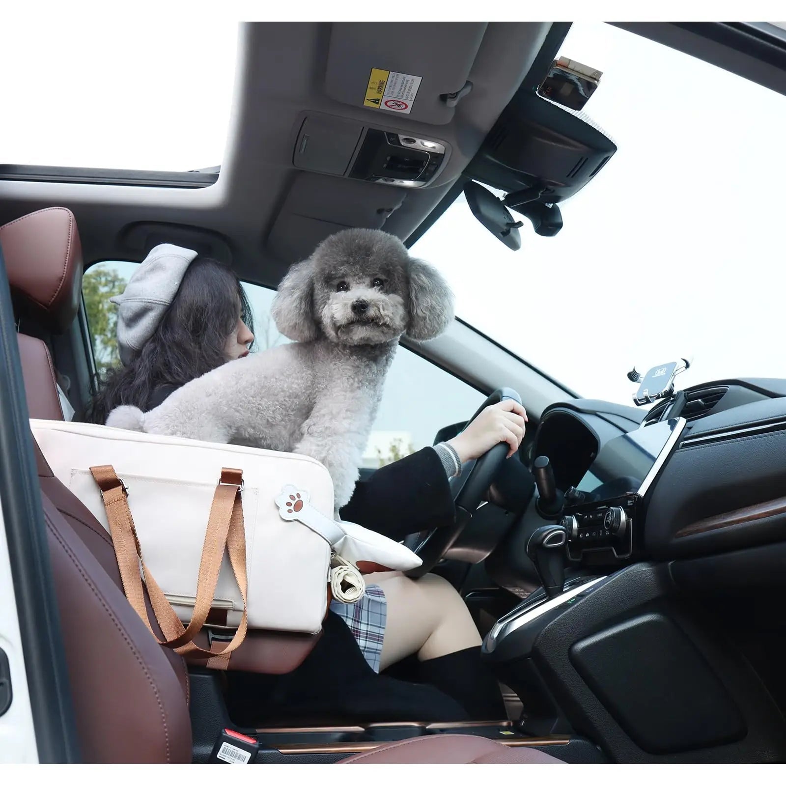 Caisse de transport chien | Console Confort - Le Chihuahua Voyageur