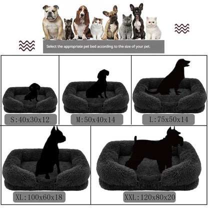 CANAPE POUR CHIEN - Canapé - lit en peluche - Le Chihuahua Voyageur