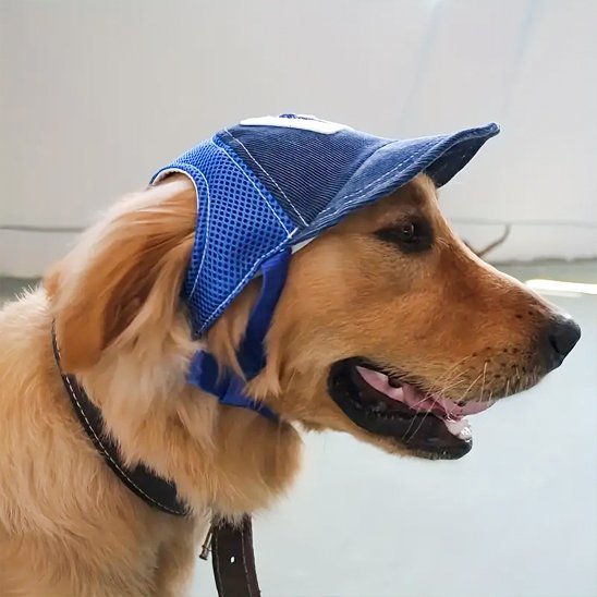 Casquette chien | Protection Solaire Ajustable - Le Chihuahua Voyageur