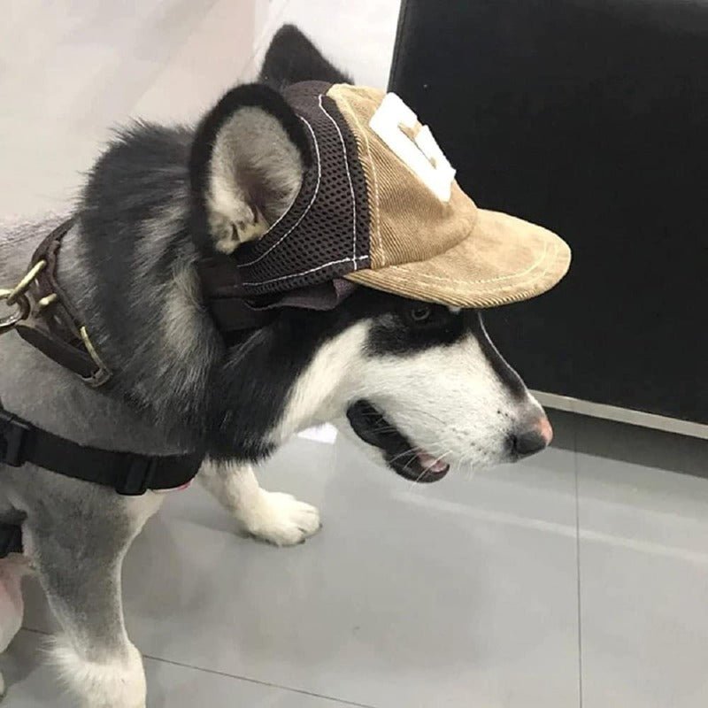 Casquette chien | Protection Solaire Ajustable - Le Chihuahua Voyageur