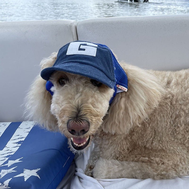Casquette chien | Protection Solaire Ajustable - Le Chihuahua Voyageur