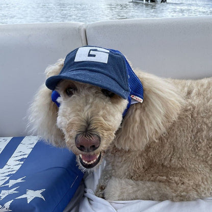 Casquette chien | Protection Solaire Ajustable - Le Chihuahua Voyageur