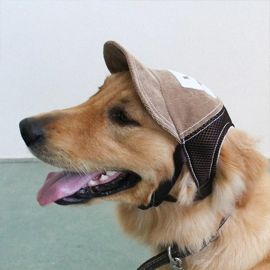 Casquette chien | Protection Solaire Ajustable - Le Chihuahua Voyageur