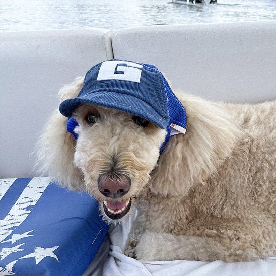 Casquette chien | Protection Solaire Ajustable - Le Chihuahua Voyageur