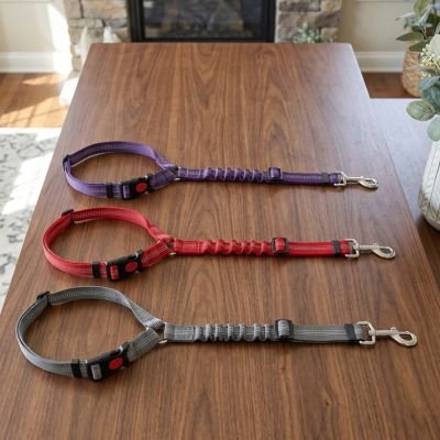 Ceinture de sécurité pour chien