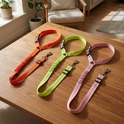 Ceinture de sécurité pour chien | Confort Optimal - Le Chihuahua Voyageur
