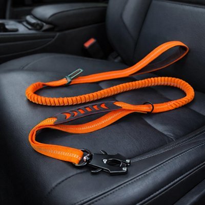 Ceinture de sécurité pour chien | VoyageSécur - Le Chihuahua Voyageur