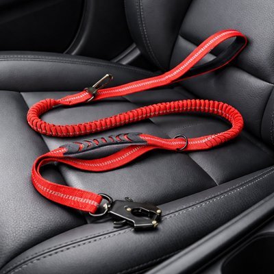 Ceinture de sécurité pour chien | VoyageSécur - Le Chihuahua Voyageur