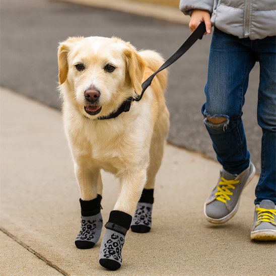 Chaussette pour chien