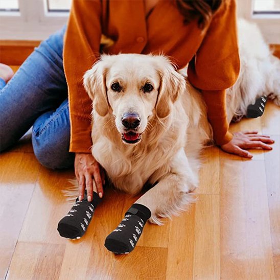 Chaussettes pour chien