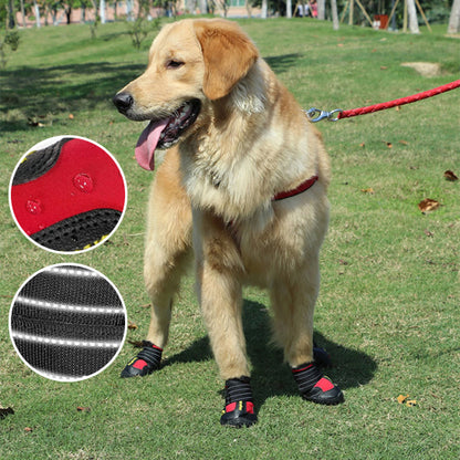 Chaussure chien- Lumi-pluie