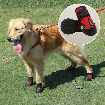 Chaussure chien- Lumi-pluie
