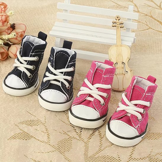 Chaussure Chien