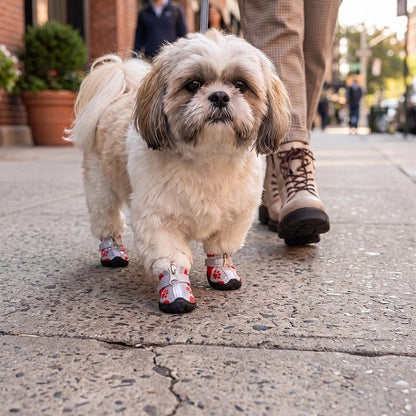 Chaussure pour Chien rouge rue
