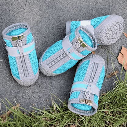 Chaussure chien- HavenfLy Dog