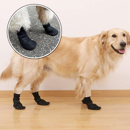 Chaussures chien 