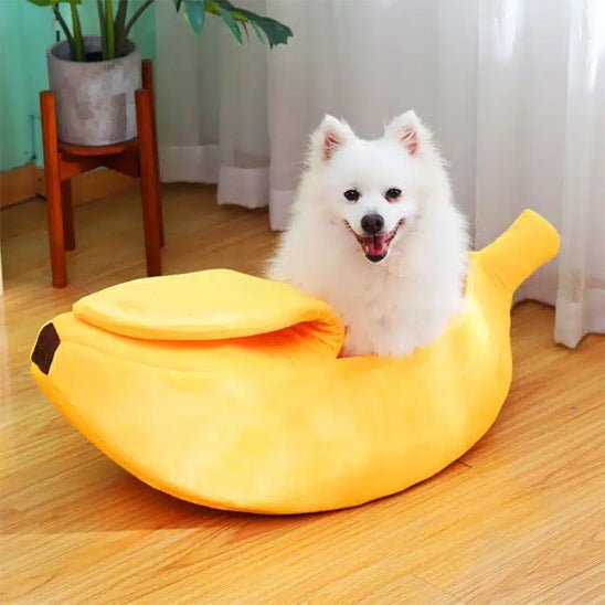 chien - Lit banane - Le Chihuahua Voyageur