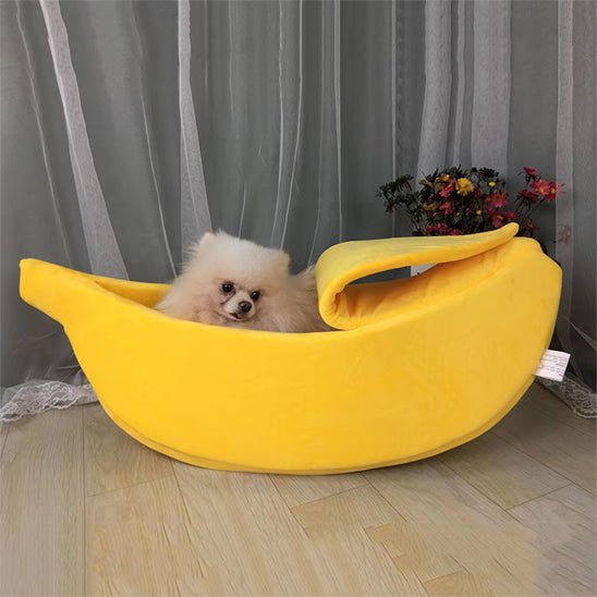 chien - Lit banane - Le Chihuahua Voyageur