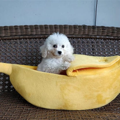 chien - Lit banane - Le Chihuahua Voyageur