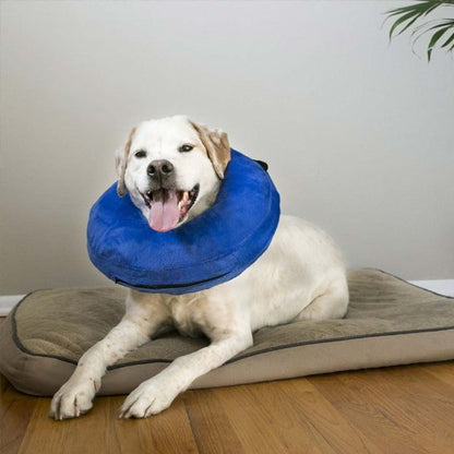 Collerette chien gonflable 