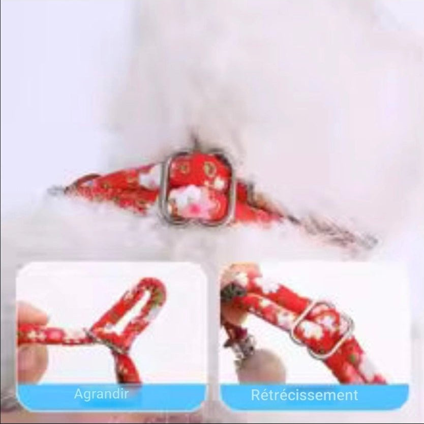 Collier anti puce chien | Naturel au camphre - Le Chihuahua Voyageur