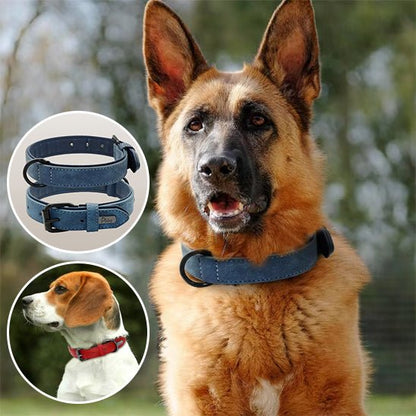 collier chien - respirant - Le Chihuahua Voyageur