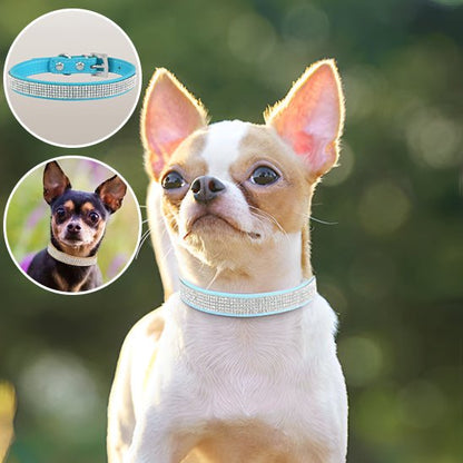 collier chien - strass - Le Chihuahua Voyageur