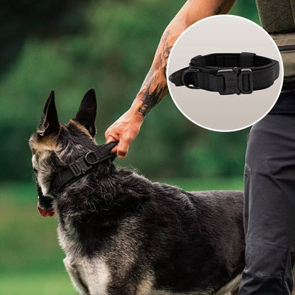 collier chien - tactique - Le Chihuahua Voyageur