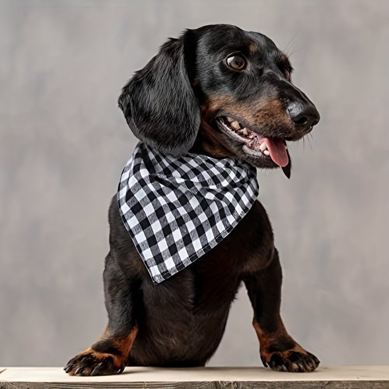 Collier chien - Triangle Dog Bandana 6 - Piece - Le Chihuahua Voyageur