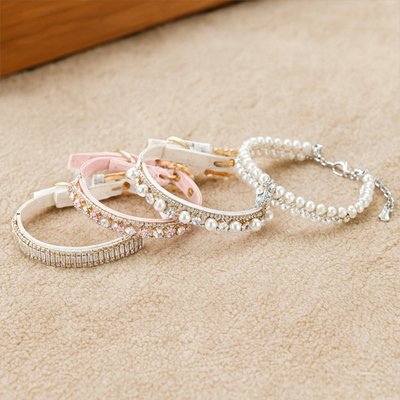 Collier Chien