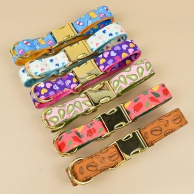 Collier chiot | Confort Ajustable - Le Chihuahua Voyageur