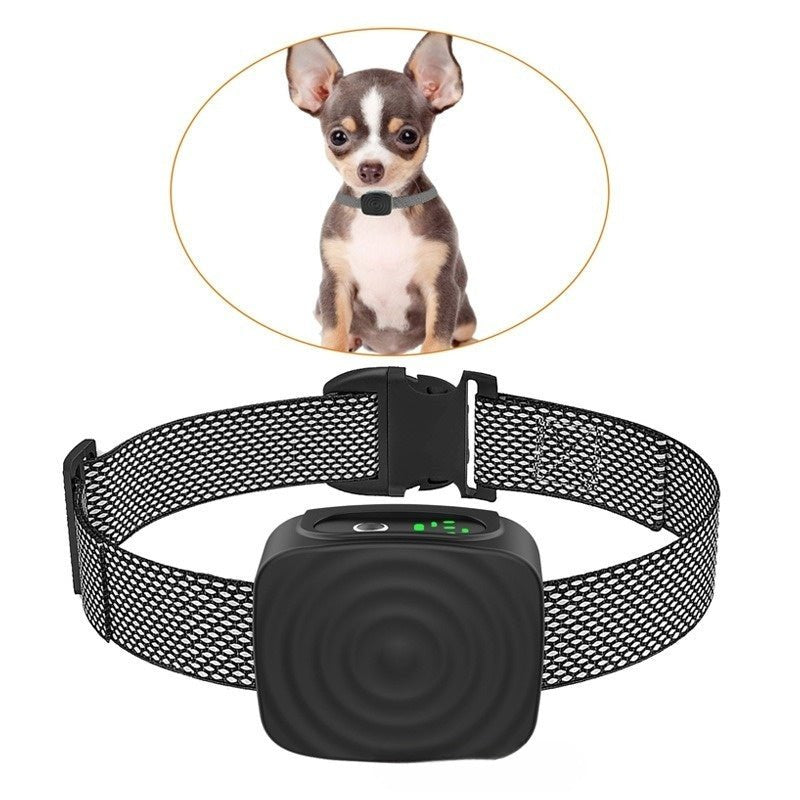 Collier de dressage pour chien - Arrêt intelligent des aboiements - Le Chihuahua Voyageur