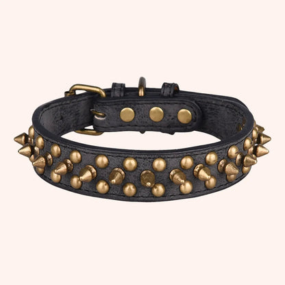 Collier de dressage pour chien - Vintage brass rivet - Le Chihuahua Voyageur