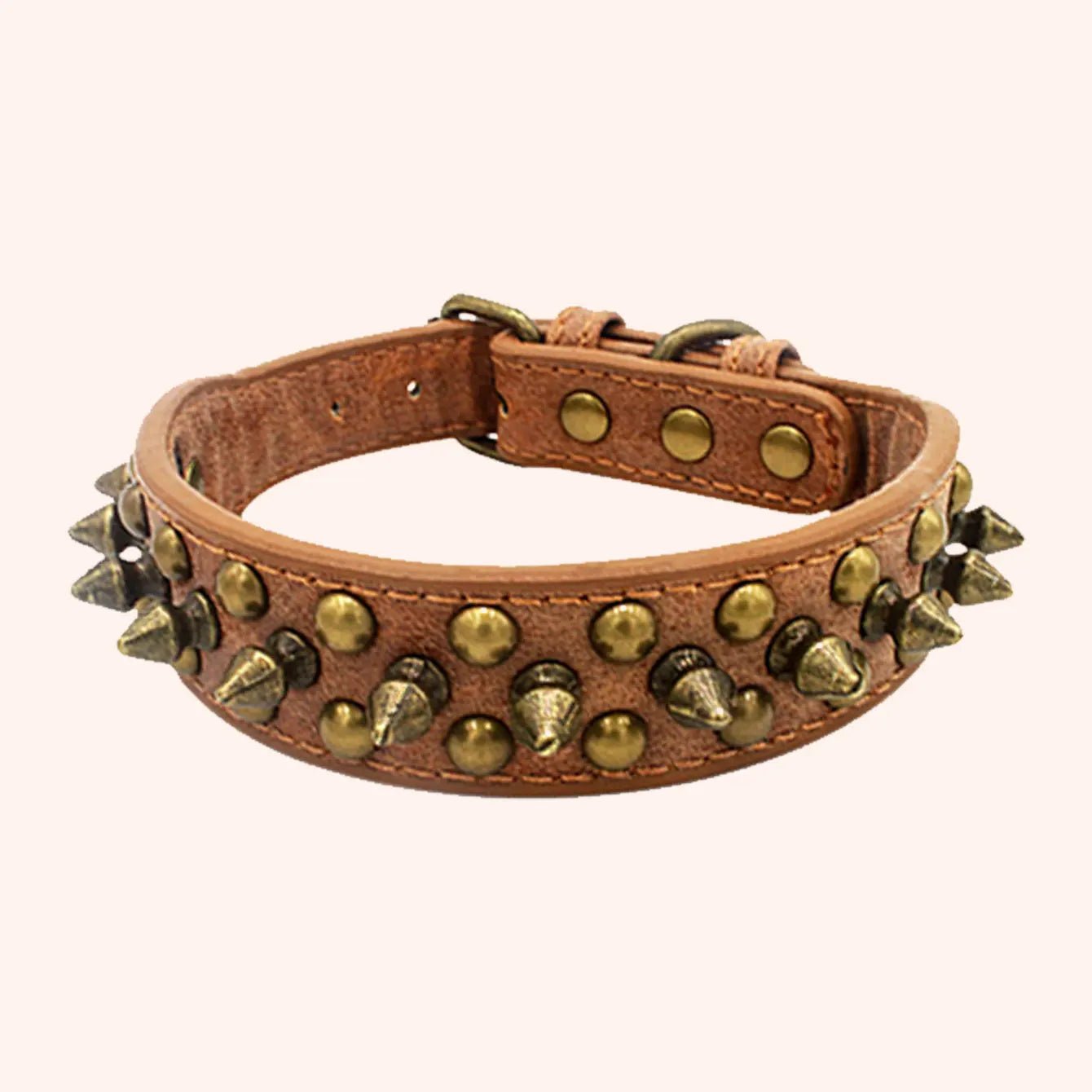 Collier de dressage pour chien - Vintage brass rivet - Le Chihuahua Voyageur