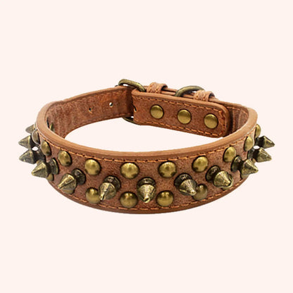 Collier de dressage pour chien - Vintage brass rivet - Le Chihuahua Voyageur