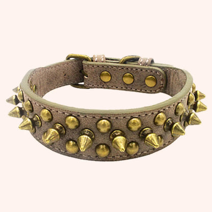 Collier de dressage pour chien - Vintage brass rivet - Le Chihuahua Voyageur