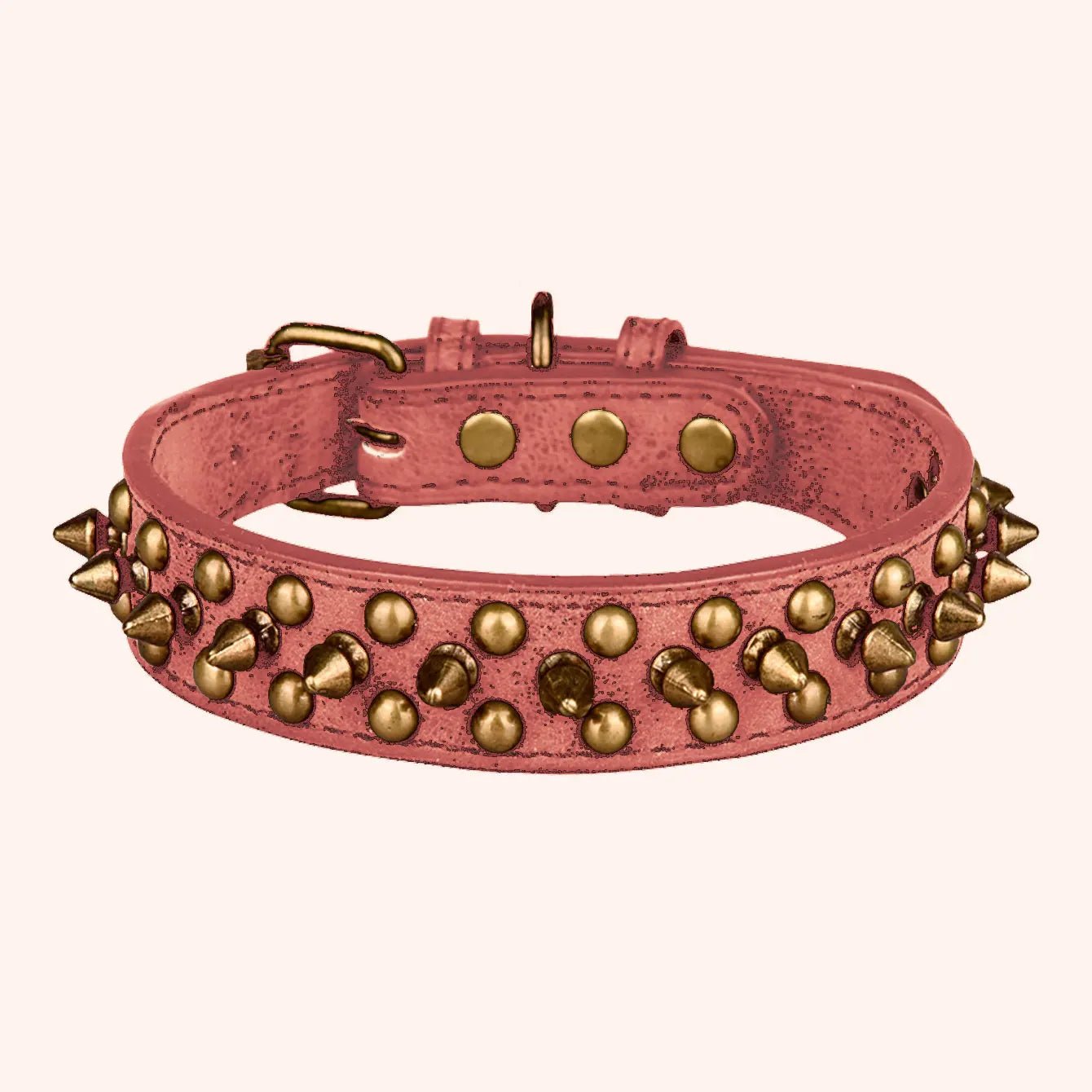 Collier de dressage pour chien - Vintage brass rivet - Le Chihuahua Voyageur