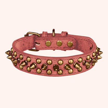 Collier de dressage pour chien - Vintage brass rivet - Le Chihuahua Voyageur