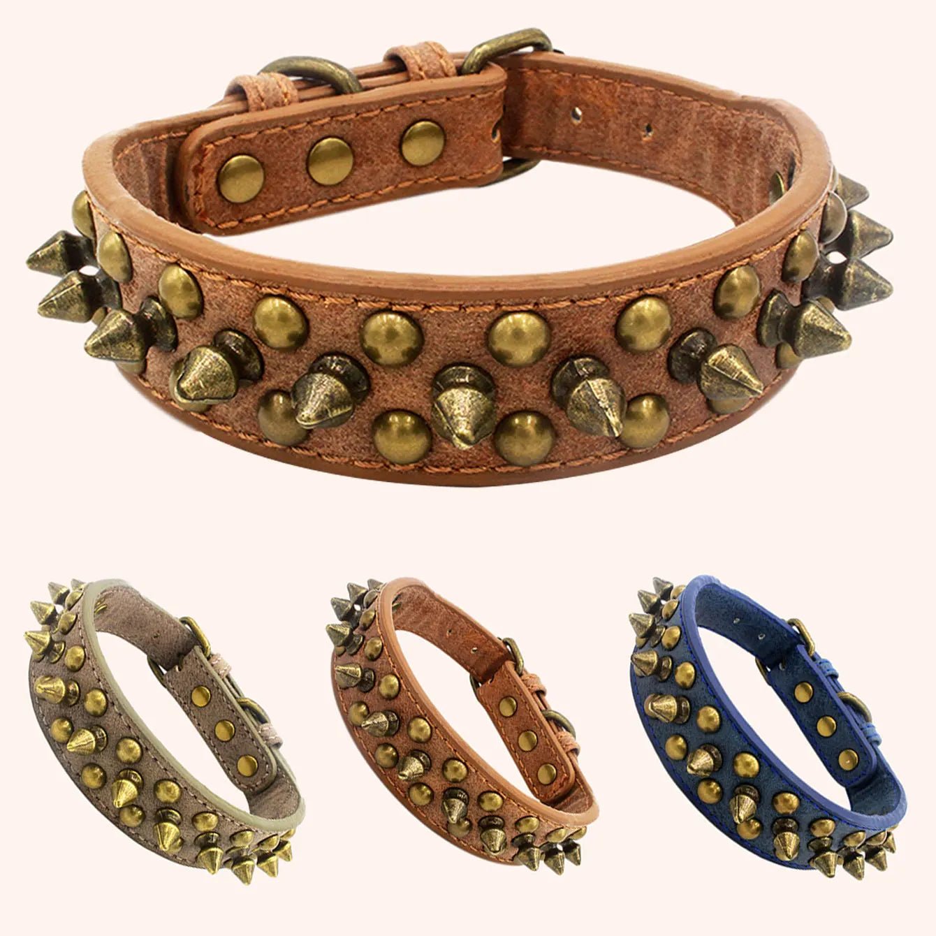 Collier de dressage pour chien - Vintage brass rivet - Le Chihuahua Voyageur