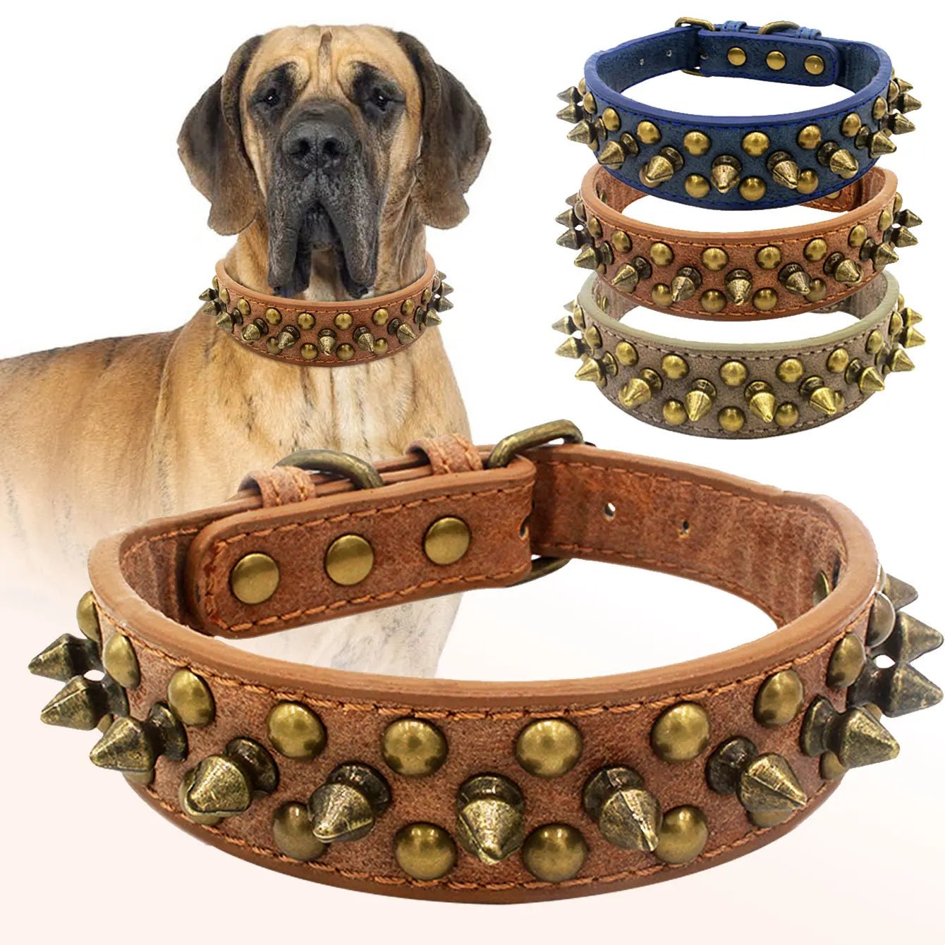Collier de dressage pour chien - Vintage brass rivet - Le Chihuahua Voyageur