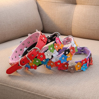 Collier en cuir pour chien - Double Row Of Flower - Le Chihuahua Voyageur