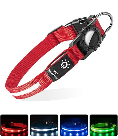 Collier GPS chien | TrackPet - Le Chihuahua Voyageur