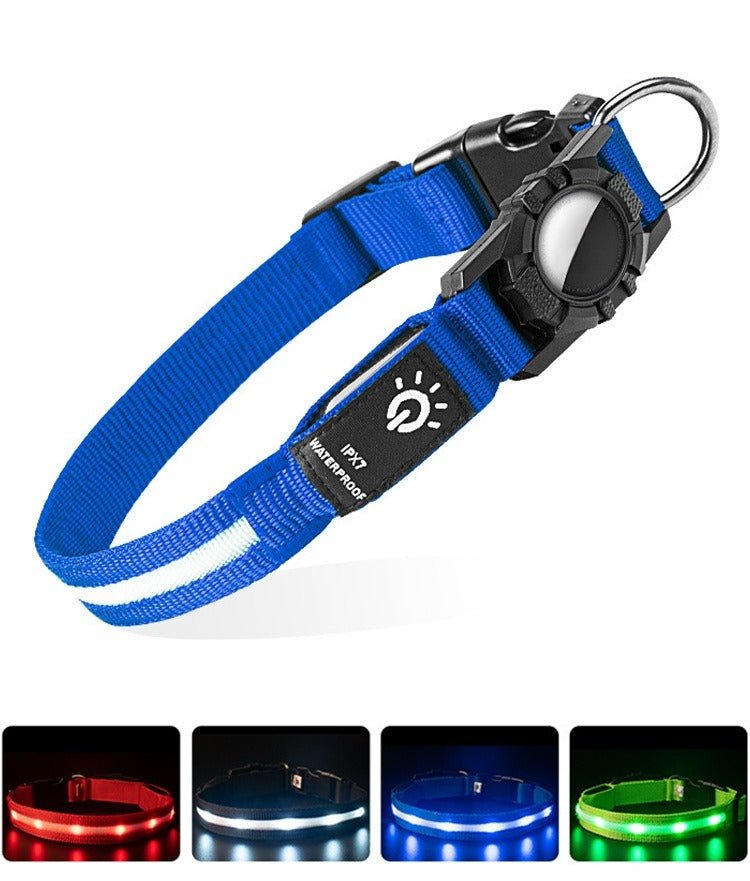 Collier GPS chien | TrackPet - Le Chihuahua Voyageur
